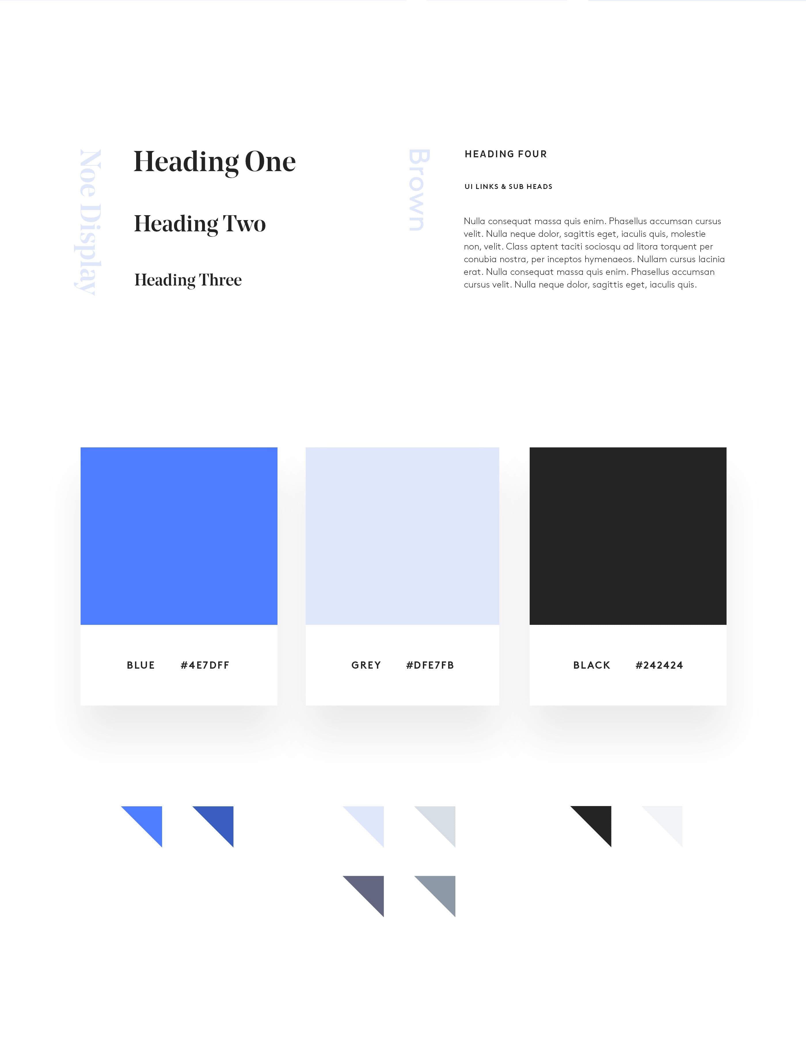 Retail Equity Partners Holdings LLC Type & Color