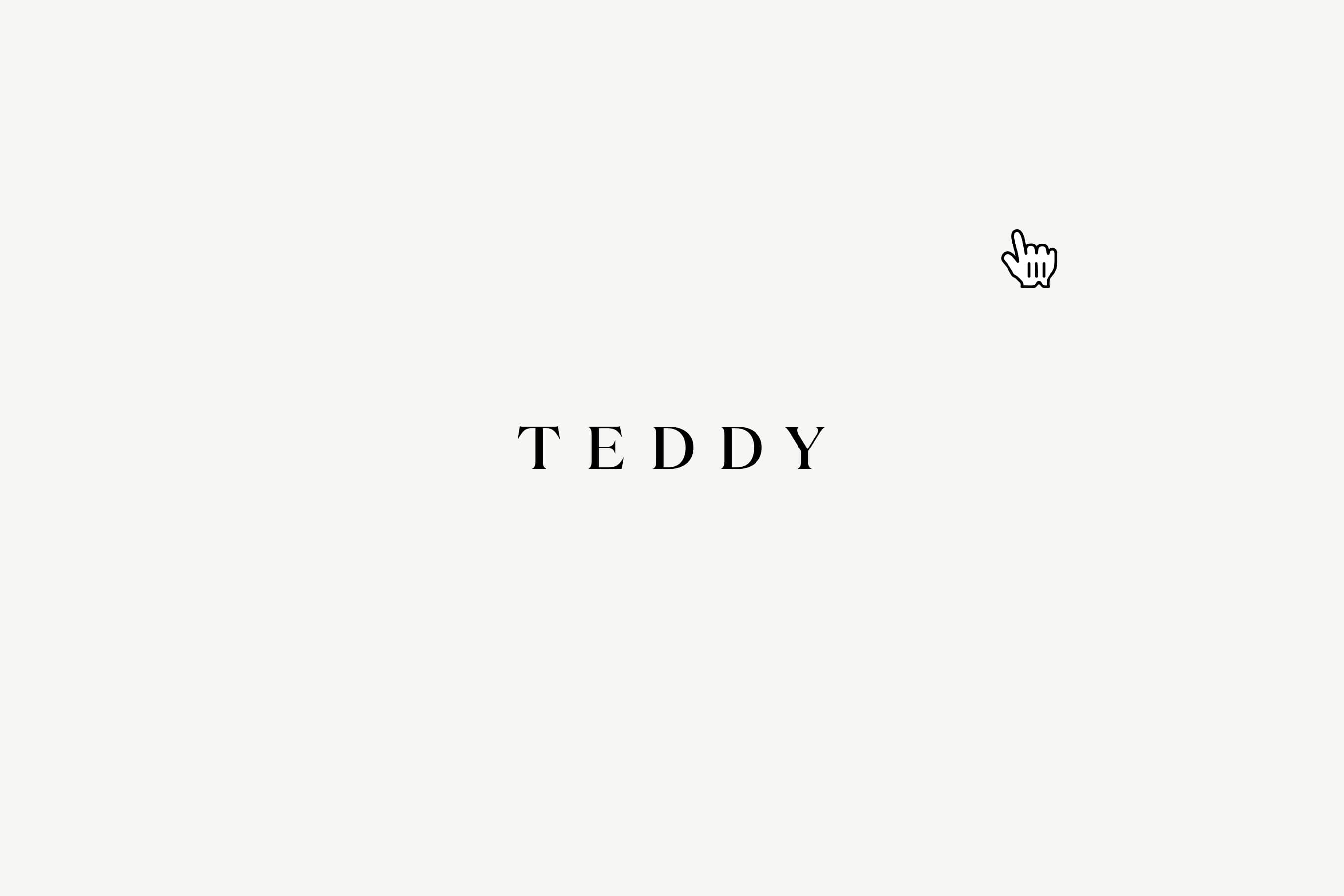 Teddy Baldassarre Logo Type Animation